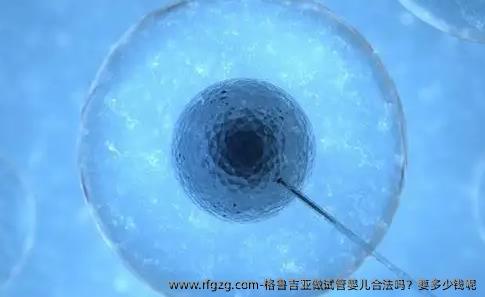 格鲁吉亚做试管婴儿合法吗？要多少钱呢