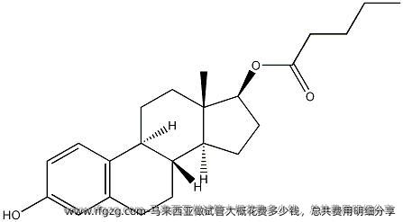 马来西亚做试管大概花费多少钱，总共费用明细分享
