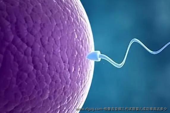 格鲁吉亚做三代试管婴儿成功率高达多少