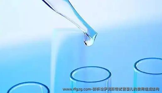 剖析哈萨克斯坦试管婴儿的费用组成结构