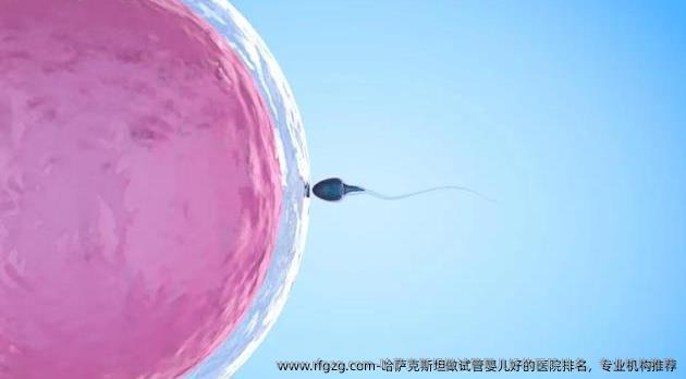 哈萨克斯坦做试管婴儿好的医院排名，专业机构推荐