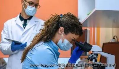 美国试管婴儿流程详解(从了解到生子)
