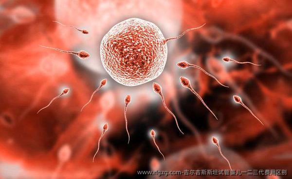 吉尔吉斯斯坦试管婴儿一二三代费用区别