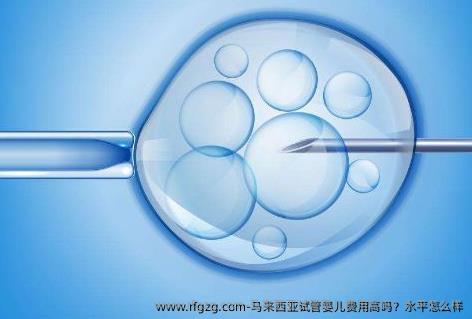 马来西亚试管婴儿费用高吗？水平怎么样