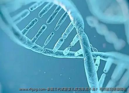 泰国三代试管婴儿成功率高不高？不同医院明细揭秘
