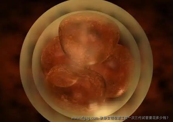单身女性在湛江做一次三代试管要花多少钱？