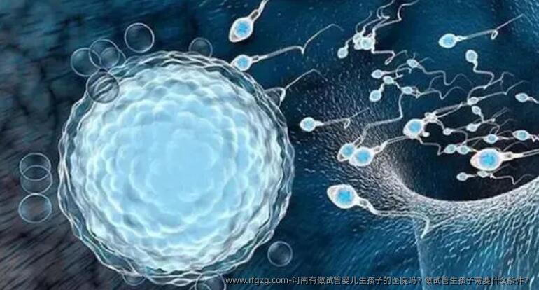 河南有做试管婴儿生孩子的医院吗？做试管生孩子需要什么条件？