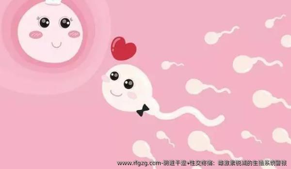 阴道干涩+性交疼痛：雌激素锐减的生殖系统警报