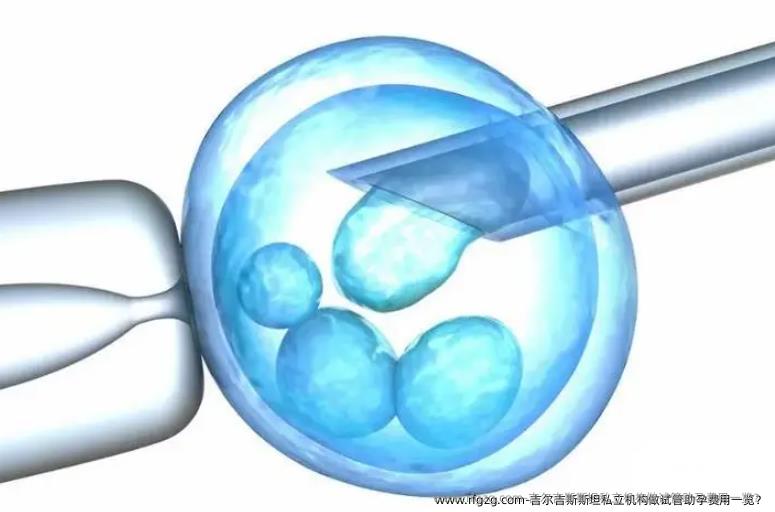 吉尔吉斯斯坦私立机构做试管助孕费用一览？