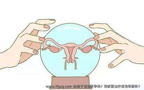 幼稚子宫能怀孕吗？附试管治疗成功率解析？