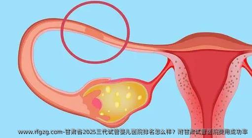 甘肃省2025年三代试管婴儿医院排名怎么样？附甘肃试管医院费用成功率