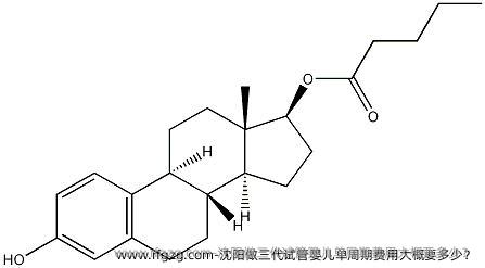 沈阳做三代试管婴儿单周期费用大概要多少？