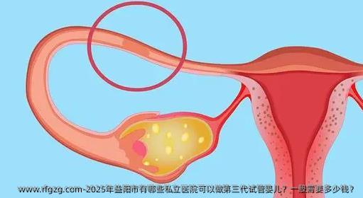 2025年益阳市有哪些私立医院可以做第三代试管婴儿？一般需要多少钱？