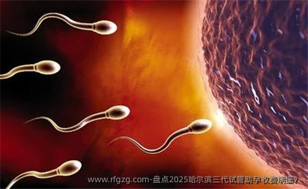 盘点2025哈尔滨三代试管助孕收费明细？