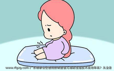 广东哪家公立医院的试管婴儿辅助生殖技术成功率高？从业者