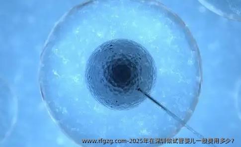 2025年在深圳做试管婴儿一般费用多少？