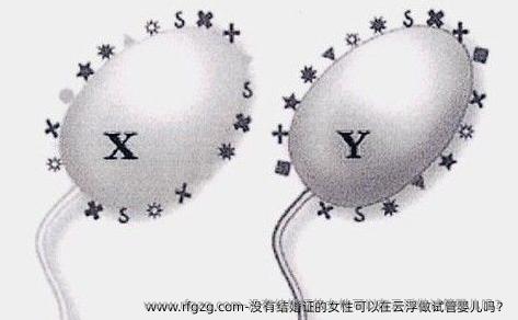 没有结婚证的女性可以在云浮做试管婴儿吗？
