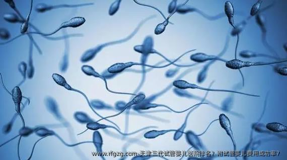 天津三代试管婴儿医院排名？附试管婴儿费用成功率？