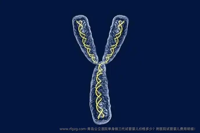 青岛公立医院单身做三代试管婴儿价格多少？附医院试管婴儿费用明细！