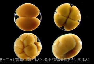 福州三代试管婴儿医院排名？福州试管婴儿医院成功率排名？