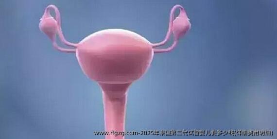 2025年泰国第三代试管婴儿要多少钱？详细费用明细