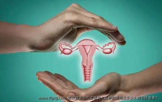 武汉做第三代试管婴儿助孕的费用是多少？附价格清单？