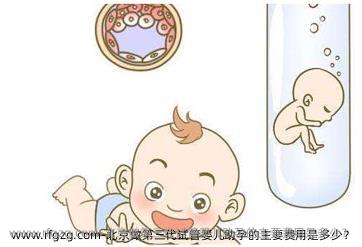 北京做第三代试管婴儿助孕的主要费用是多少？