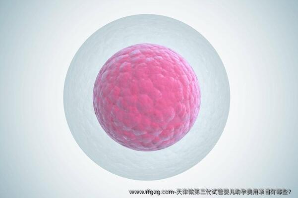 天津做第三代试管婴儿助孕费用项目有哪些？