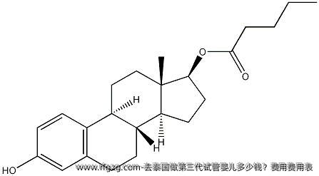 去泰国做第三代试管婴儿多少钱？费用费用表