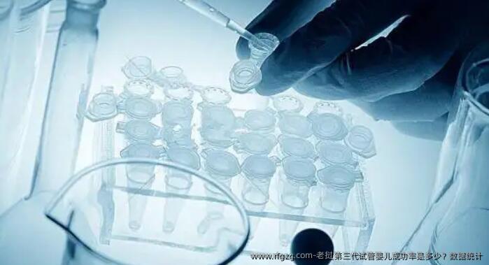 老挝第三代试管婴儿成功率是多少？数据统计