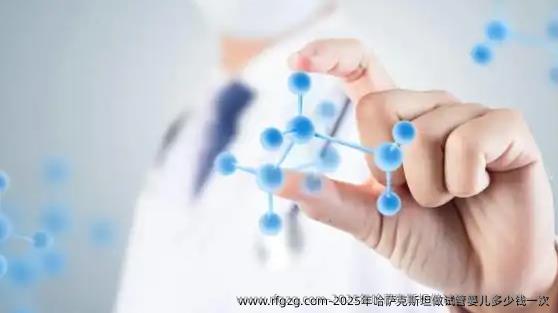 2025年哈萨克斯坦做试管婴儿多少钱一次