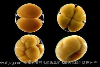 泰国试管婴儿成功率相比国内高吗？数据分析