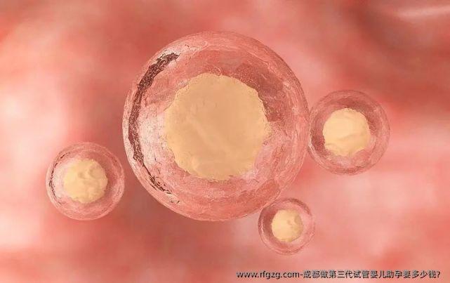 成都做第三代试管婴儿助孕要多少钱？