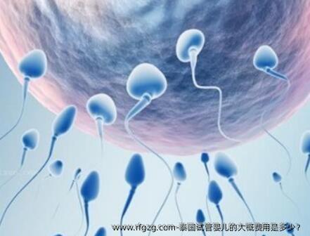 泰国试管婴儿的大概费用是多少？