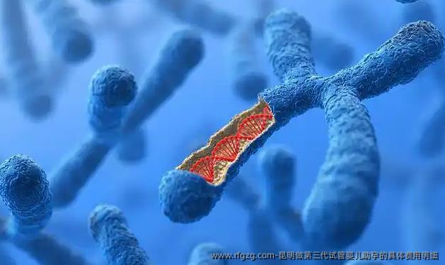 昆明做第三代试管婴儿助孕的具体费用明细