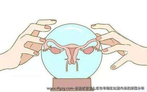 泰国试管婴儿成功率确实比国内高的原因分析
