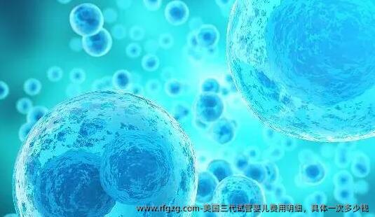 美国三代试管婴儿费用明细，具体一次多少钱