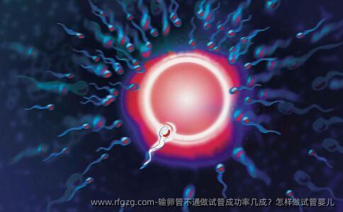 输卵管不通做试管成功率几成？怎样做试管婴儿