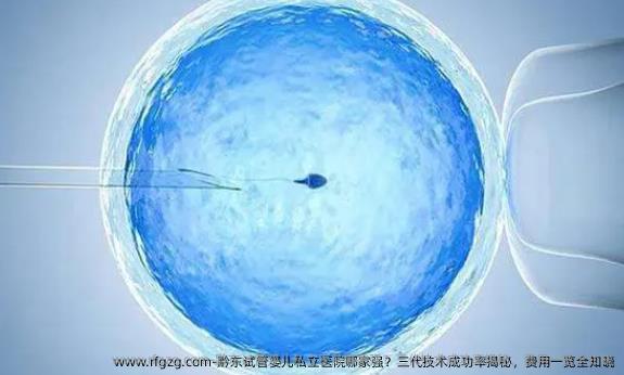 黔东试管婴儿私立医院哪家强？三代技术成功率揭秘，费用一览全知晓