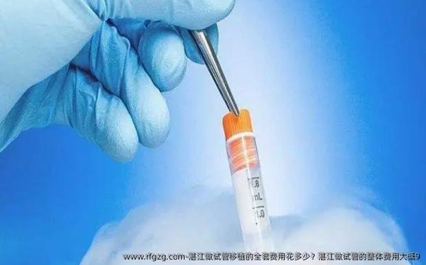 湛江做试管移植的全套费用花多少？湛江做试管的整体费用大概9