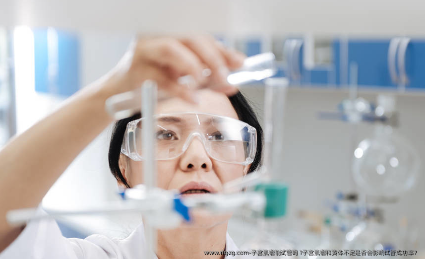 子宫肌瘤能试管吗 ?子宫肌瘤和黄体不足是否会影响试管成功率？