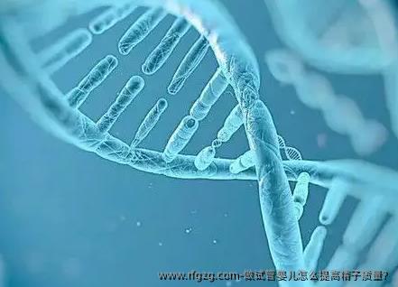 做试管婴儿怎么提高精子质量?