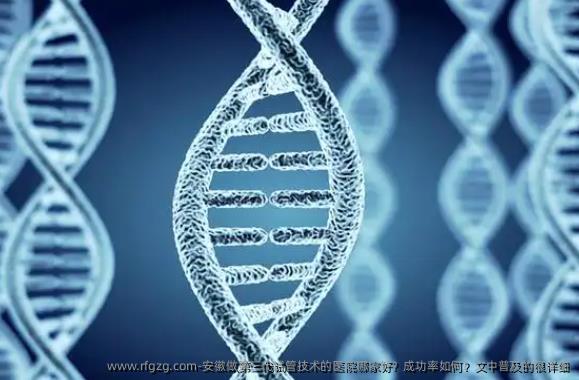 安徽做第三代试管技术的医院哪家好？成功率如何？文中普及的很详细