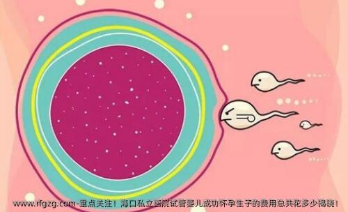 重点关注！海口私立医院试管婴儿成功怀孕生子的费用总共花多少揭晓！