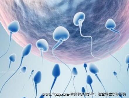 曾经有过宫外孕，做试管成功率高吗?