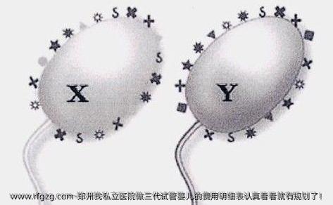 郑州找私立医院做三代试管婴儿的费用明细表认真看看就有规划了！