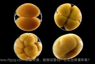 卵巢早衰，能做试管吗？怎么治卵巢早衰？
