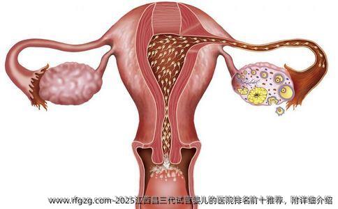 2025江西昌三代试管婴儿的医院排名前十推荐，附详细介绍