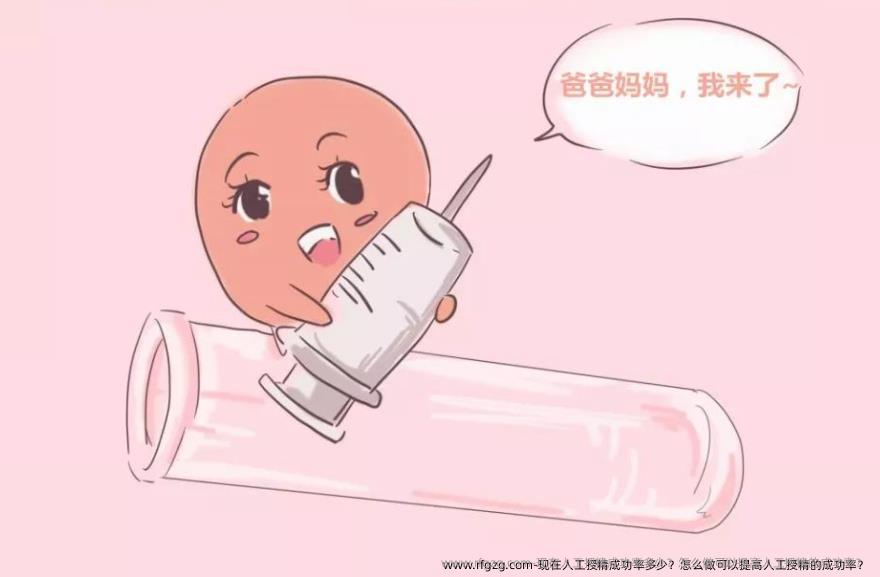 现在人工授精成功率多少？怎么做可以提高人工授精的成功率？