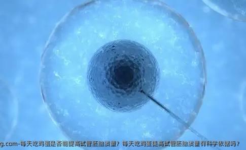 每天吃**是否能提高试管胚胎质量？每天吃**提高试管胚胎质量有科学依据吗？